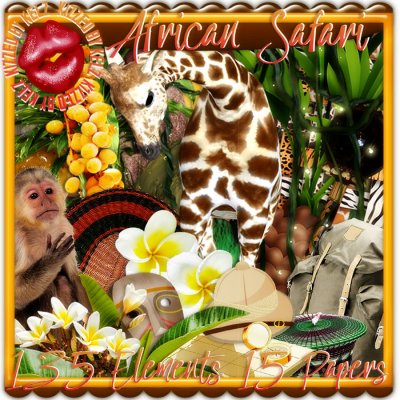 African Safari