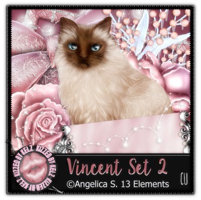 Vincent Set 2